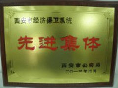 經(jīng)濟保衛(wèi)系統(tǒng)先進單位